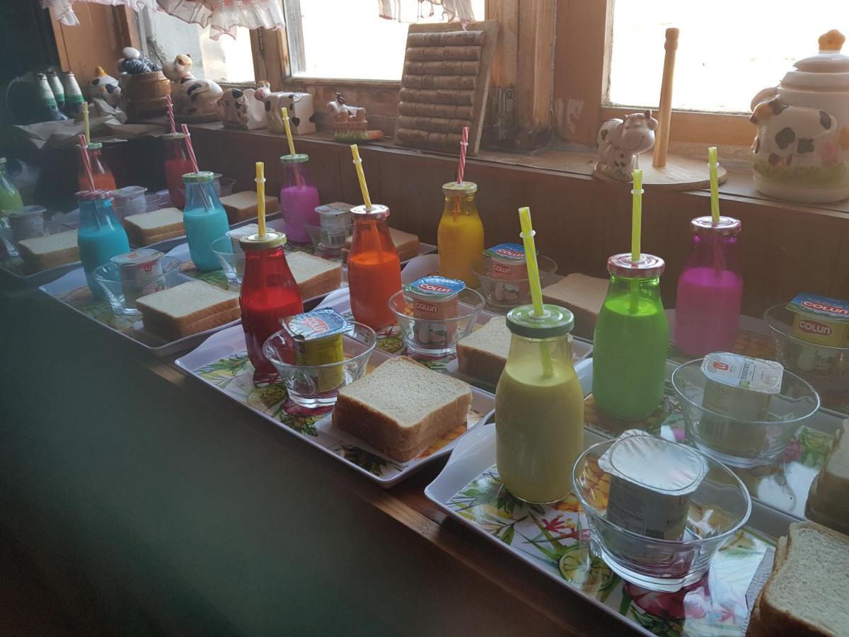 Hostal La Morenita Punta Arenas Exteriör bild