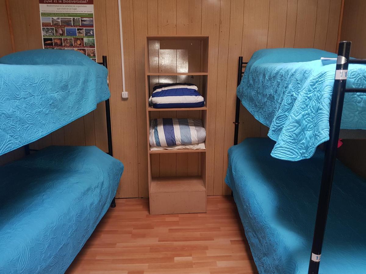 Hostal La Morenita Punta Arenas Exteriör bild