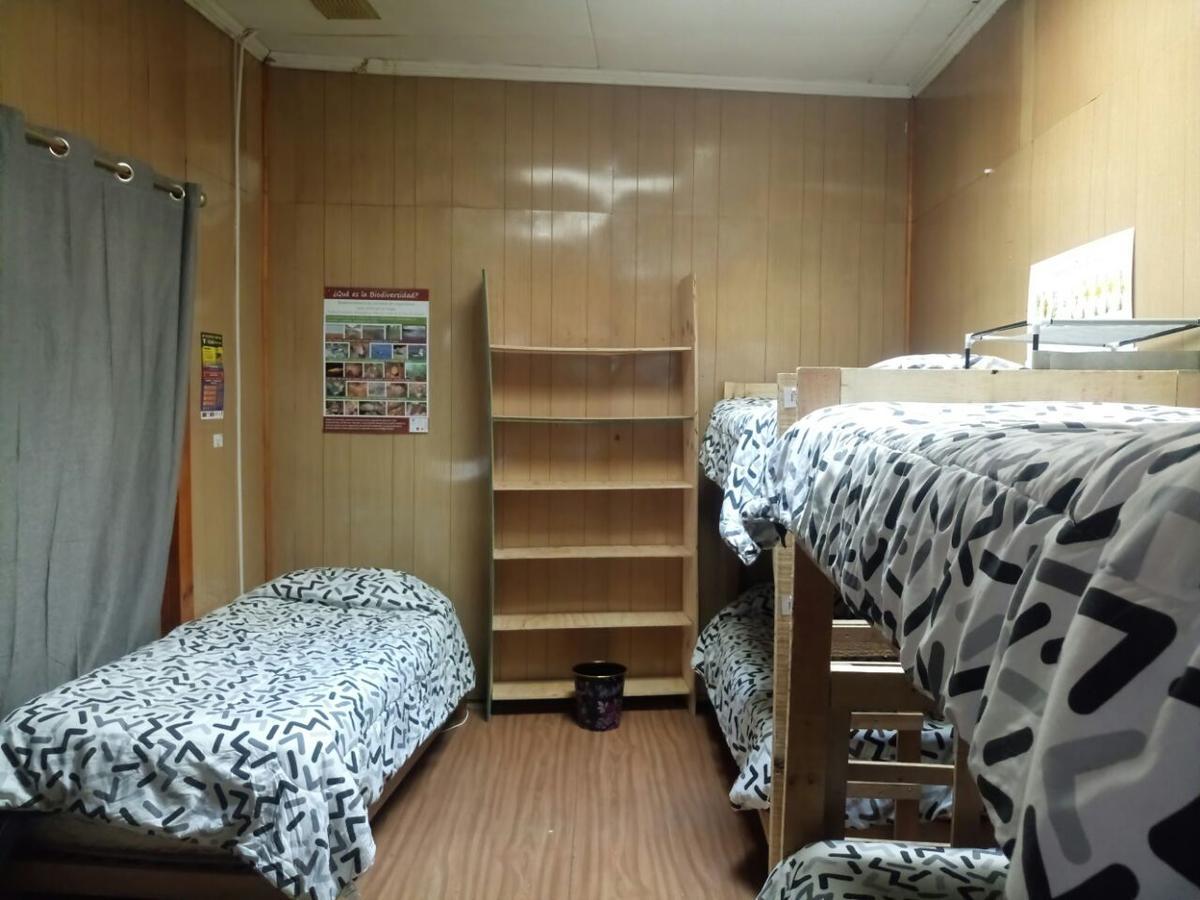 Hostal La Morenita Punta Arenas Exteriör bild