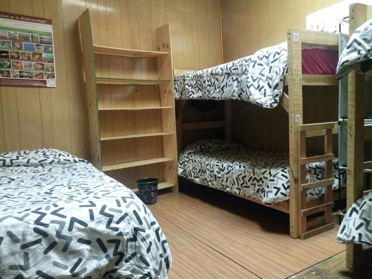 Hostal La Morenita Punta Arenas Exteriör bild